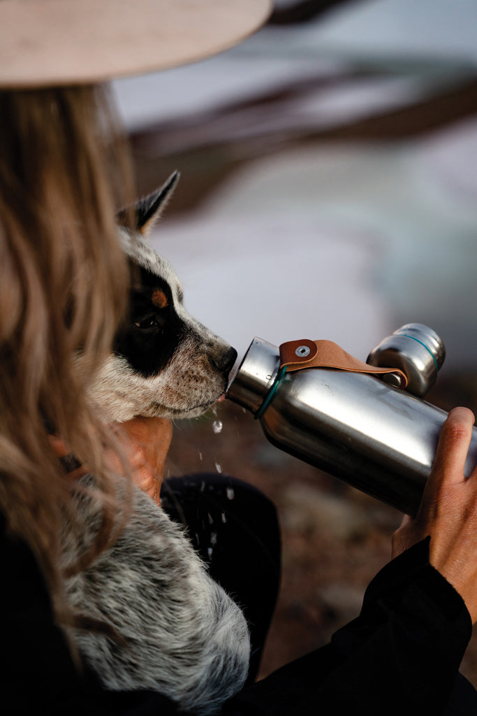 Black+Blum Insulated Water Bottle Small 500ml