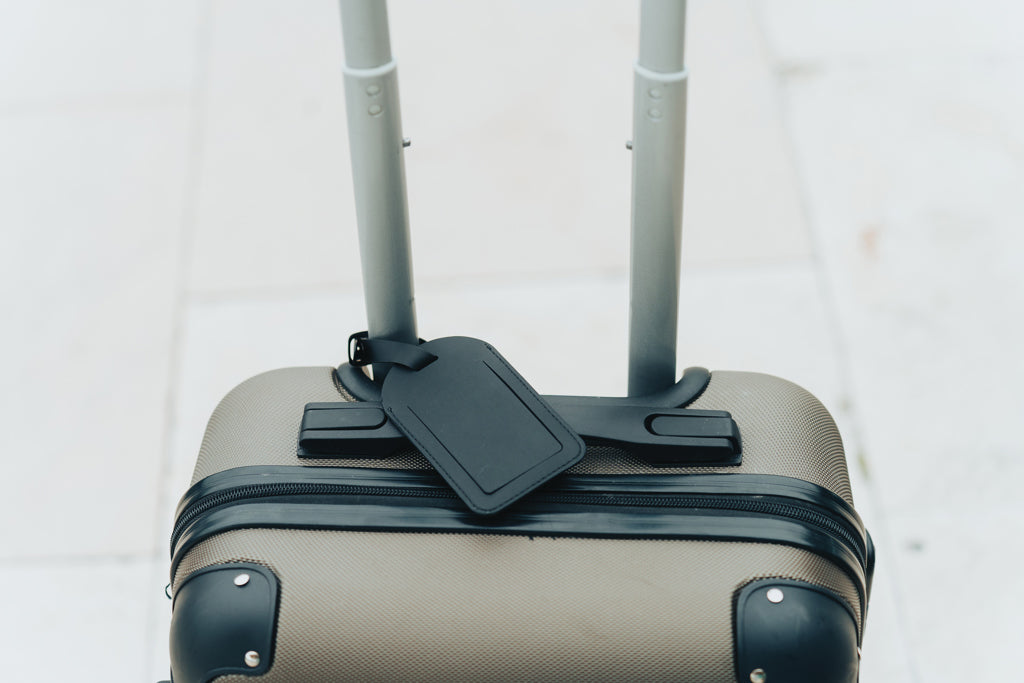 Globefind Dual RCS luggage tag with worldwide locating