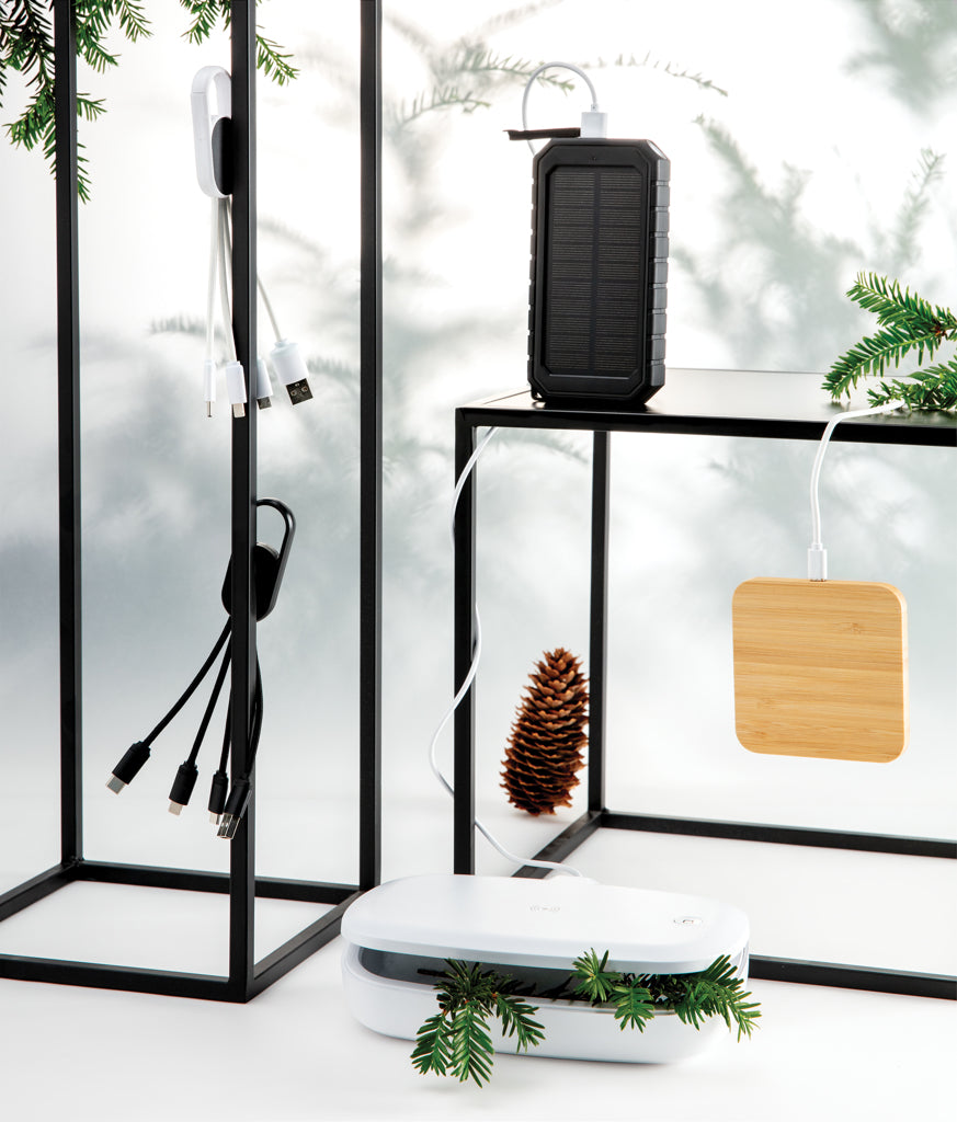 4-in-1 cable with carabiner clip