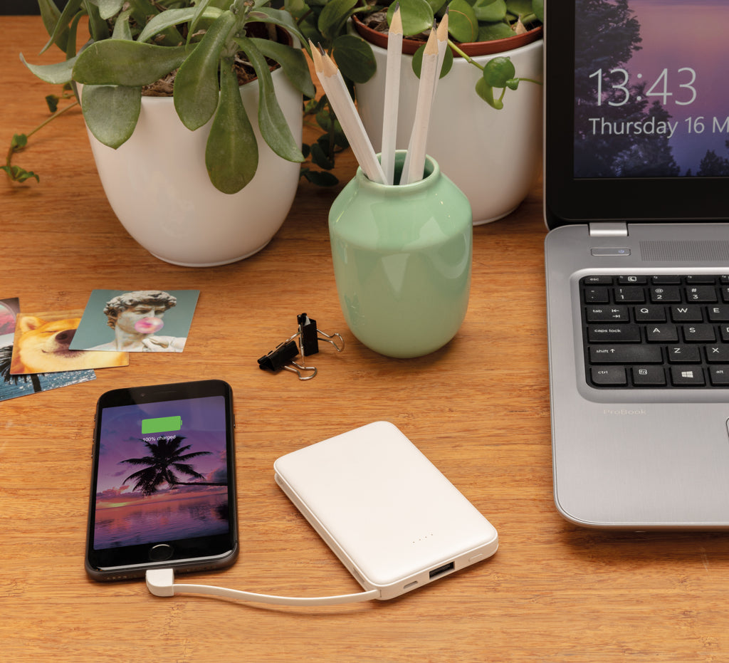 5.000 mAh Pocket Powerbank with integrated cables