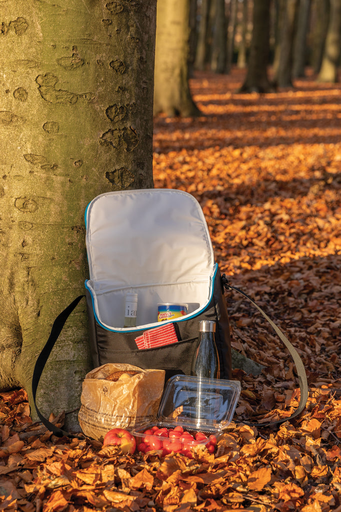 Explorer medium outdoor cooler bag