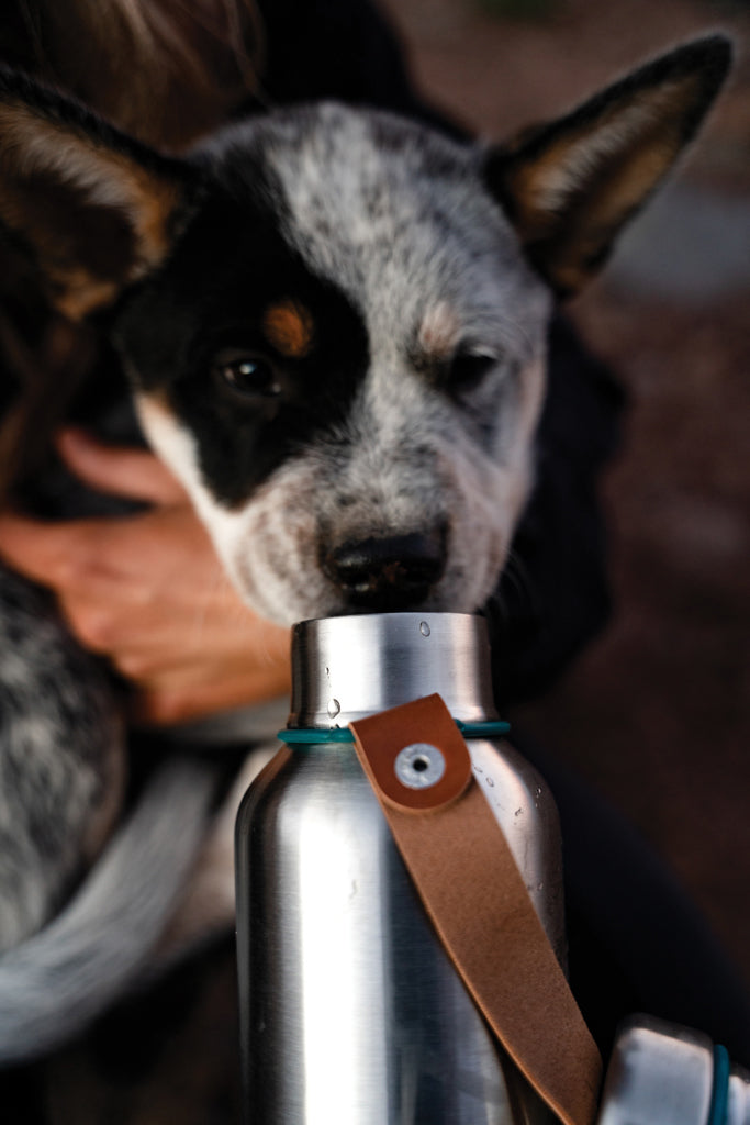 Black+Blum Insulated Water Bottle Large 750ml