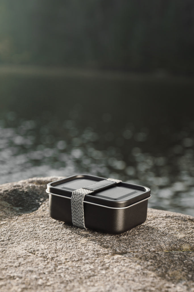 VINGA Parks RCS SS lunch box